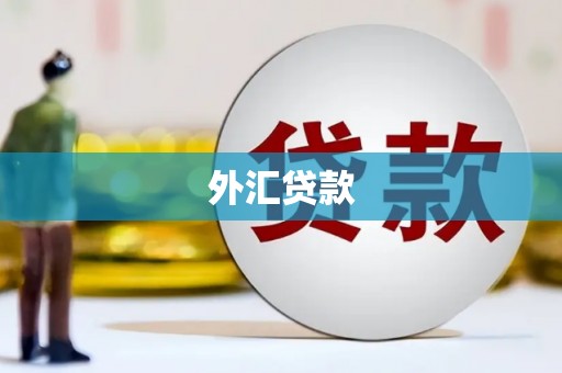 临渭外汇贷款