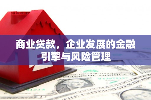 临渭商业贷款，企业发展的金融引擎与风险管理