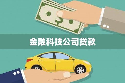 临渭金融科技公司贷款