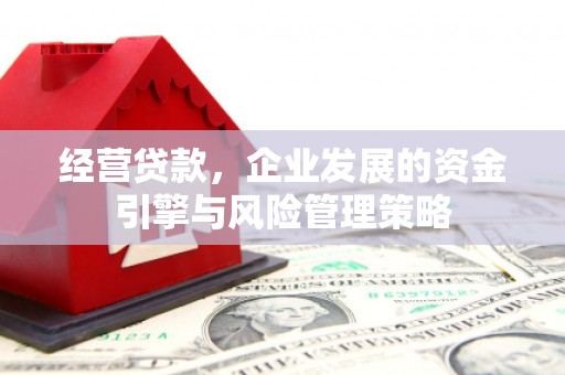 临渭经营贷款，企业发展的资金引擎与风险管理策略