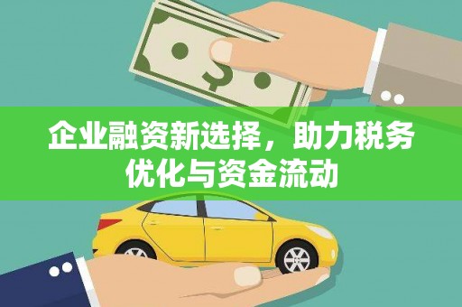 临渭企业融资新选择，助力税务优化与资金流动