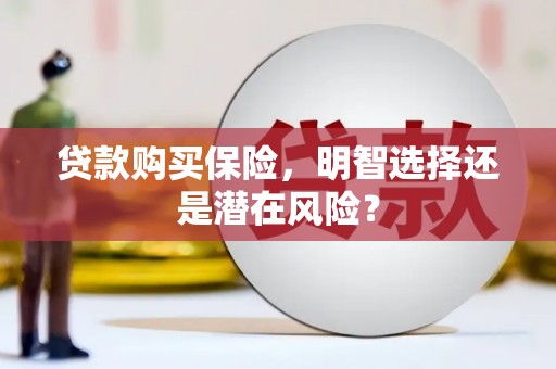 临渭贷款购买保险，明智选择还是潜在风险？