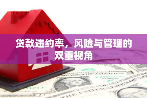 临渭贷款违约率，风险与管理的双重视角