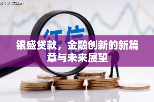 临渭银盛贷款，金融创新的新篇章与未来展望