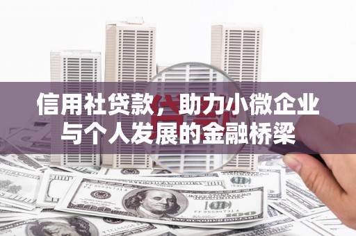 临渭信用社贷款，助力小微企业与个人发展的金融桥梁