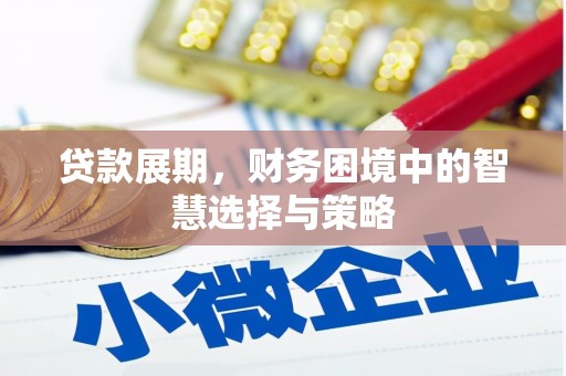 临渭贷款展期，财务困境中的智慧选择与策略