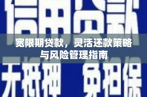 临渭宽限期贷款，灵活还款策略与风险管理指南