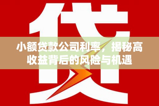 临渭小额贷款公司利率，揭秘高收益背后的风险与机遇