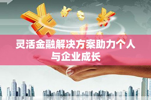临渭灵活金融解决方案助力个人与企业成长