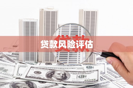 临渭贷款风险评估
