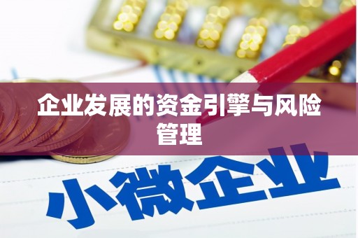 临渭企业发展的资金引擎与风险管理