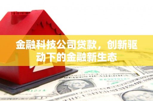 临渭金融科技公司贷款，创新驱动下的金融新生态