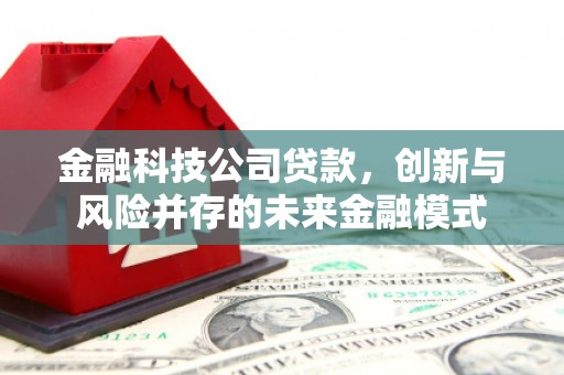 临渭金融科技公司贷款，创新与风险并存的未来金融模式