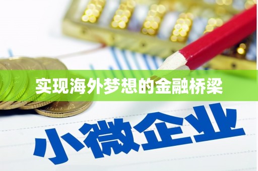 临渭实现海外梦想的金融桥梁