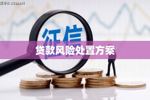 临渭贷款风险处置方案