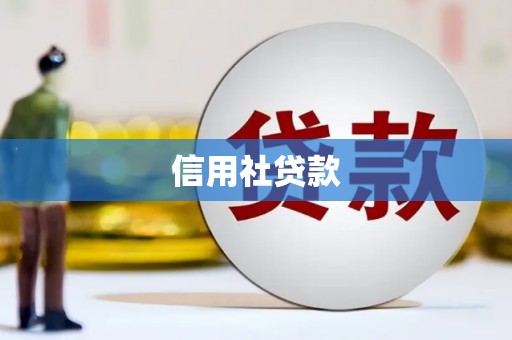 临渭信用社贷款