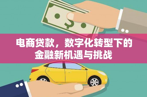临渭电商贷款，数字化转型下的金融新机遇与挑战