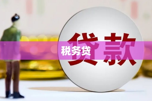 临渭税务贷