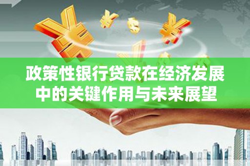 临渭政策性银行贷款在经济发展中的关键作用与未来展望
