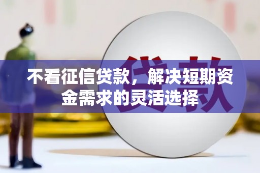 临渭不看征信贷款，解决短期资金需求的灵活选择
