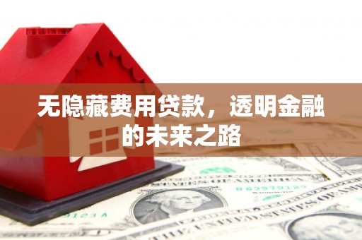 临渭无隐藏费用贷款，透明金融的未来之路