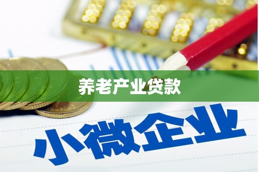 临渭养老产业贷款
