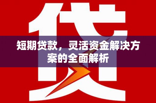 临渭短期贷款，灵活资金解决方案的全面解析