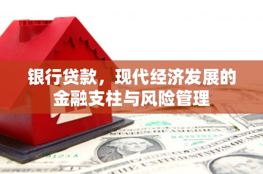 临渭银行贷款，现代经济发展的金融支柱与风险管理