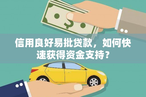 临渭信用良好易批贷款，如何快速获得资金支持？