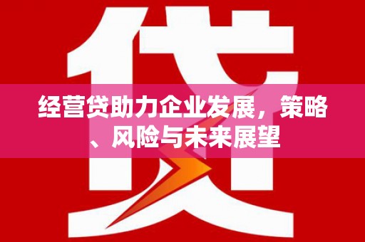 临渭经营贷助力企业发展，策略、风险与未来展望