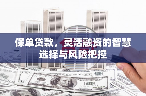 临渭保单贷款，灵活融资的智慧选择与风险把控