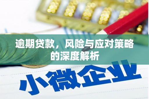 临渭逾期贷款，风险与应对策略的深度解析