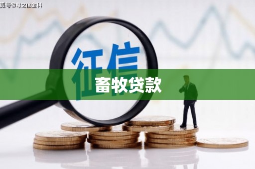 临渭畜牧贷款