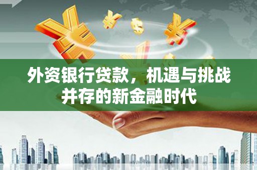临渭外资银行贷款，机遇与挑战并存的新金融时代