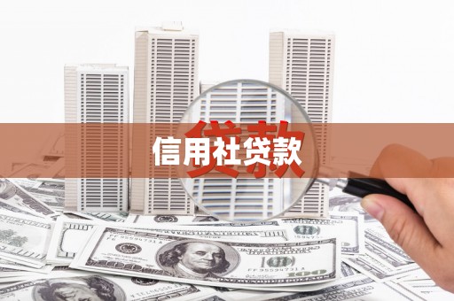 临渭信用社贷款