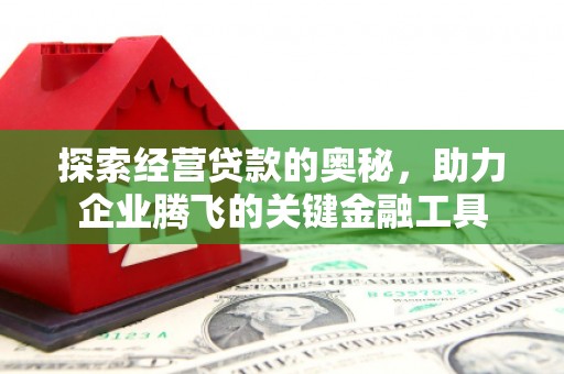 临渭探索经营贷款的奥秘，助力企业腾飞的关键金融工具