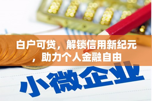 临渭白户可贷，解锁信用新纪元，助力个人金融自由