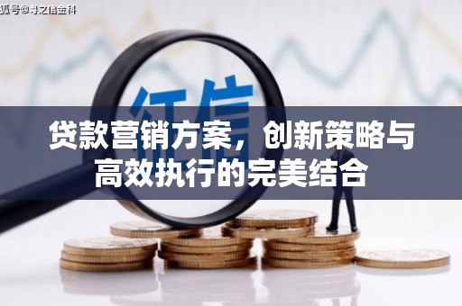 临渭贷款营销方案，创新策略与高效执行的完美结合