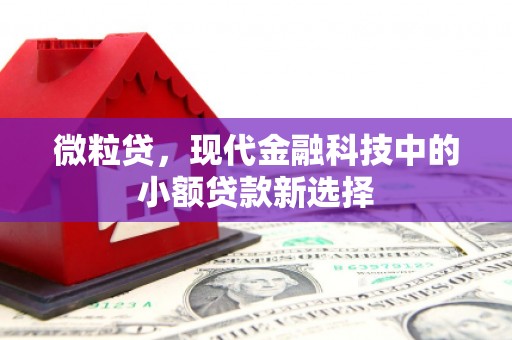 临渭微粒贷，现代金融科技中的小额贷款新选择