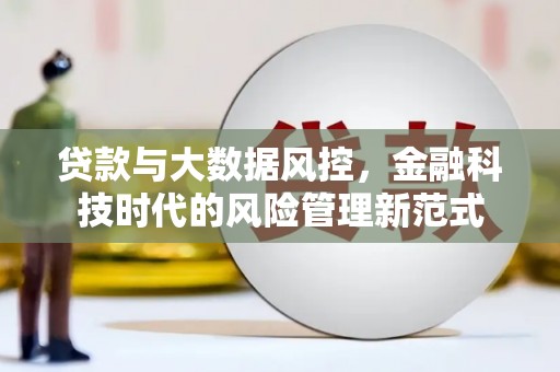 临渭贷款与大数据风控，金融科技时代的风险管理新范式