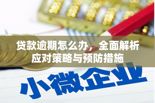 临渭贷款逾期怎么办，全面解析应对策略与预防措施