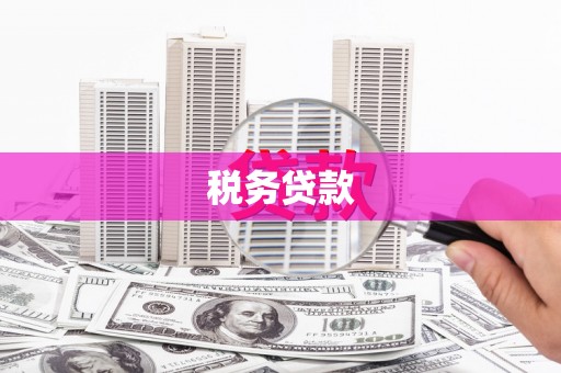 临渭税务贷款