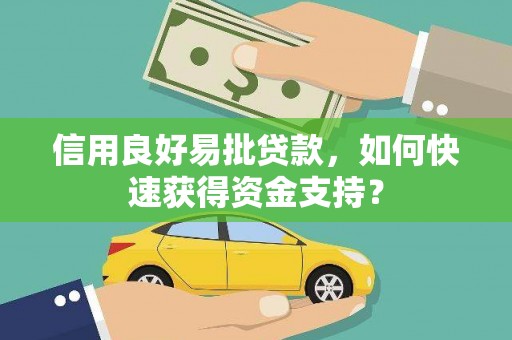 临渭信用良好易批贷款，如何快速获得资金支持？