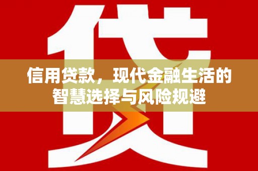 临渭信用贷款，现代金融生活的智慧选择与风险规避