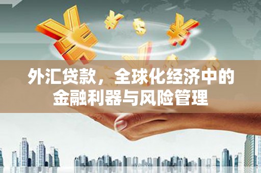 临渭外汇贷款，全球化经济中的金融利器与风险管理