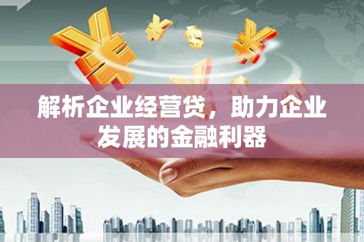 临渭解析企业经营贷，助力企业发展的金融利器