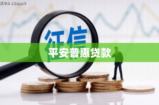 临渭平安普惠贷款