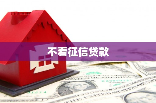 临渭不看征信贷款