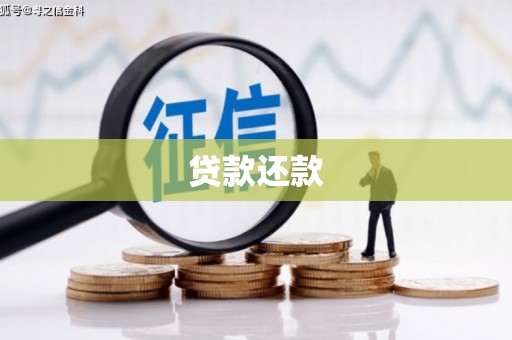 临渭贷款还款
