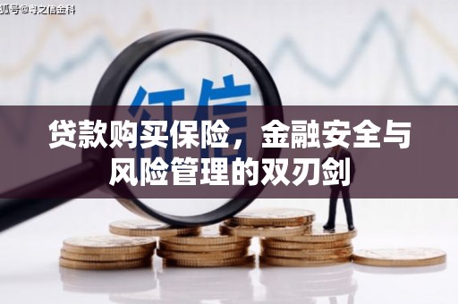 临渭贷款购买保险，金融安全与风险管理的双刃剑